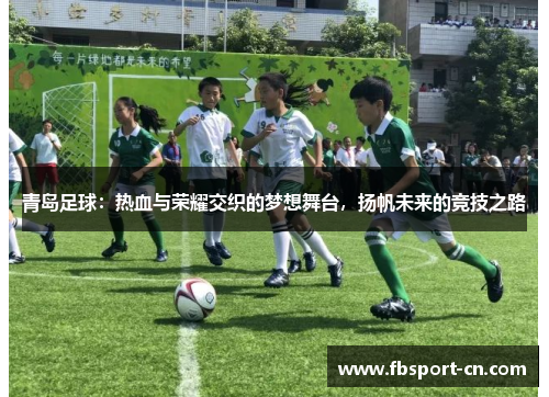 青岛足球：热血与荣耀交织的梦想舞台，扬帆未来的竞技之路