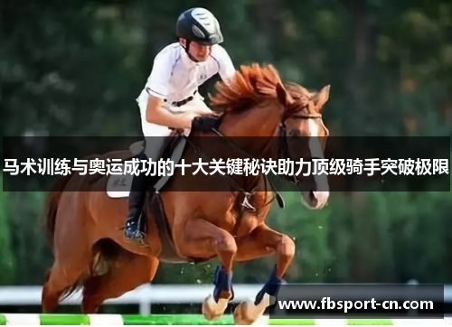 马术训练与奥运成功的十大关键秘诀助力顶级骑手突破极限 马术训练与奥运成功的十大关键秘诀助力顶级骑手突破极限