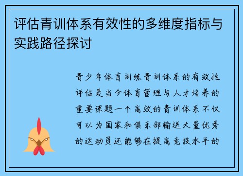评估青训体系有效性的多维度指标与实践路径探讨