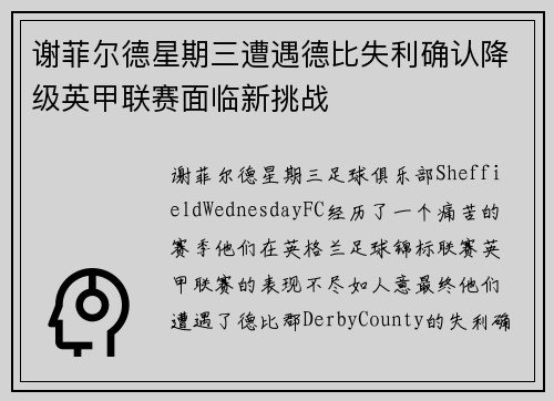 谢菲尔德星期三遭遇德比失利确认降级英甲联赛面临新挑战